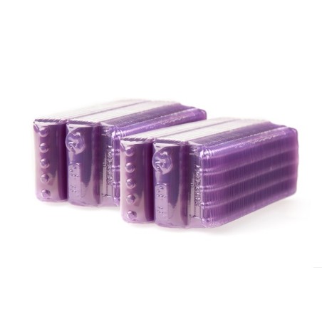 Pack 100 blisters moneda 2 EUROS